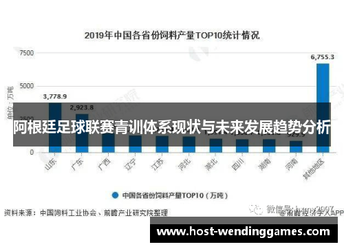 阿根廷足球联赛青训体系现状与未来发展趋势分析