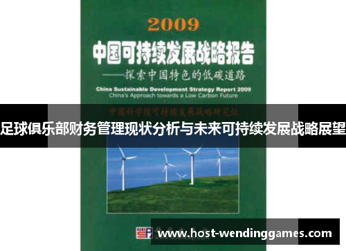 足球俱乐部财务管理现状分析与未来可持续发展战略展望 足球俱乐部财务管理现状分析与未来可持续发展战略展望
