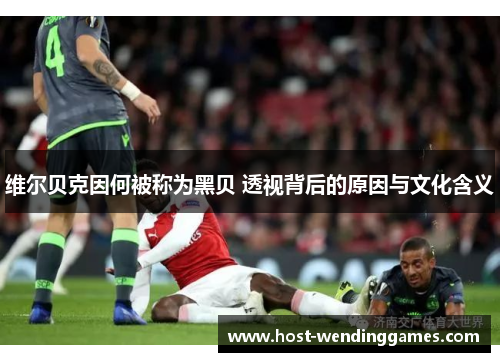 维尔贝克因何被称为黑贝 透视背后的原因与文化含义 维尔贝克因何被称为黑贝 透视背后的原因与文化含义