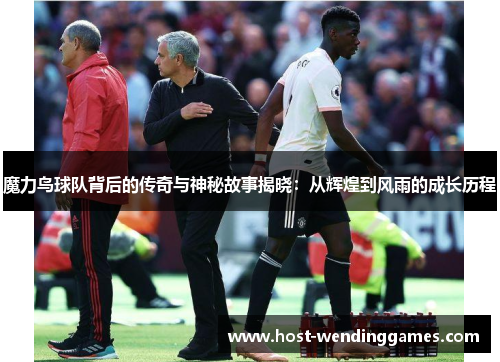 魔力鸟球队背后的传奇与神秘故事揭晓：从辉煌到风雨的成长历程