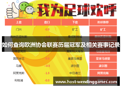 如何查询欧洲协会联赛历届冠军及相关赛事记录