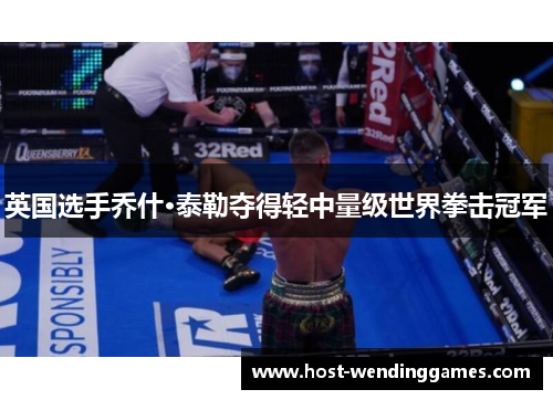 英国选手乔什·泰勒夺得轻中量级世界拳击冠军