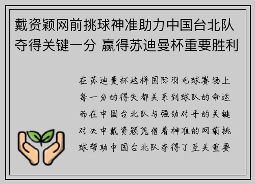 戴资颖网前挑球神准助力中国台北队夺得关键一分 赢得苏迪曼杯重要胜利