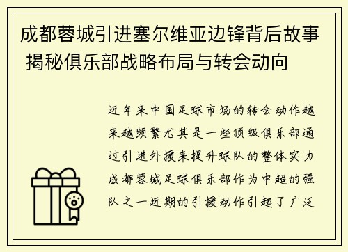 成都蓉城引进塞尔维亚边锋背后故事 揭秘俱乐部战略布局与转会动向